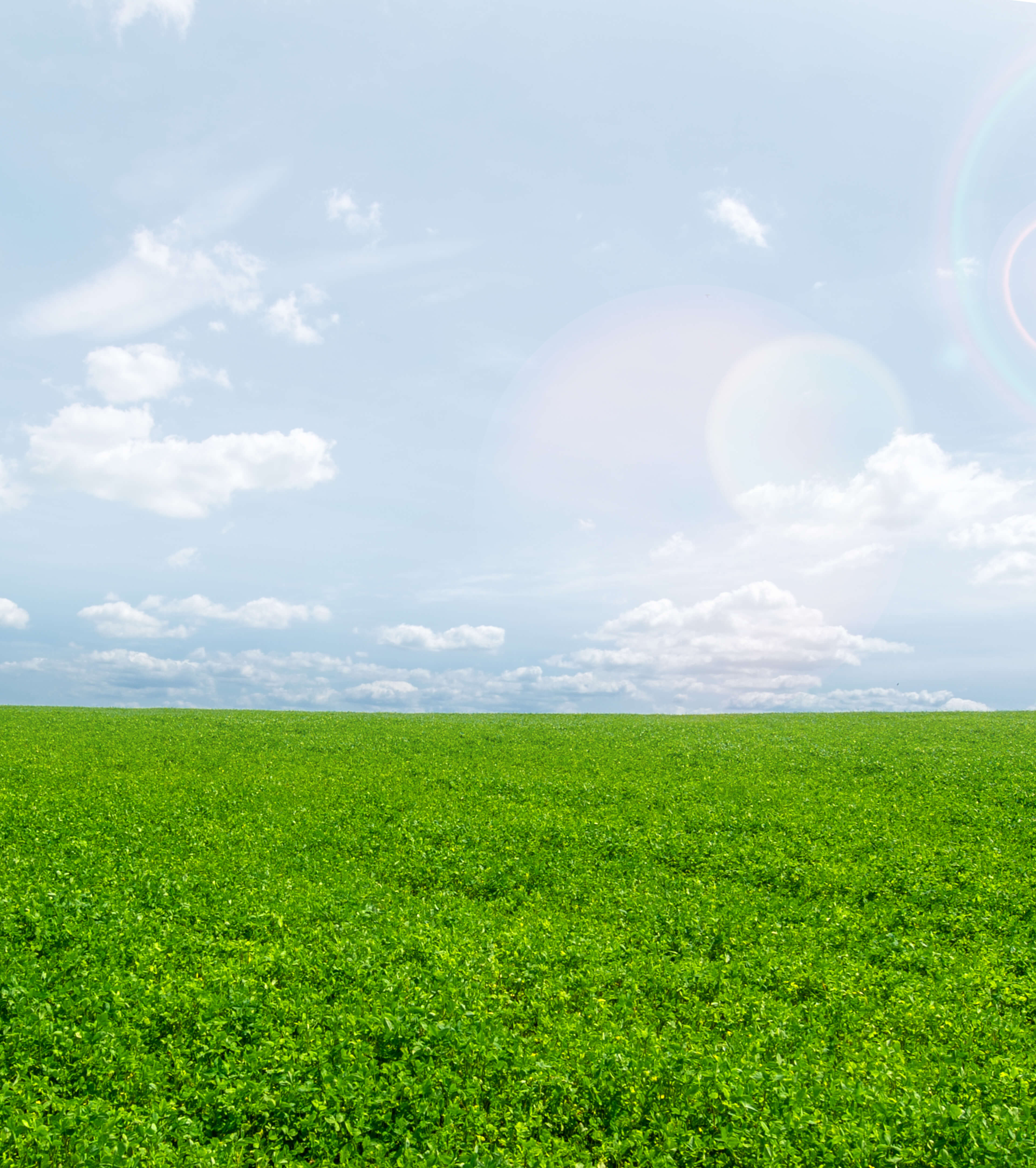 Section Background Image